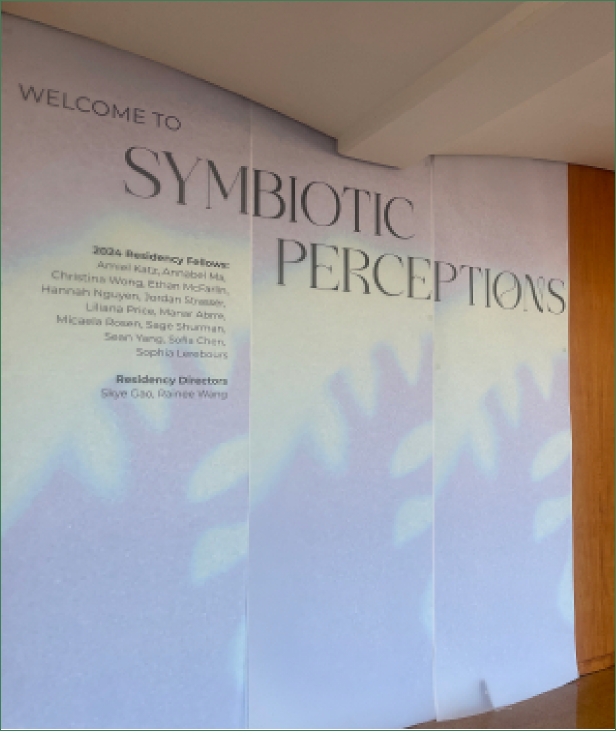Symbiotic Perceptions exhibition title and projected light on the gallery wall.